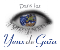 Boutique ésotérique les Yeux de Gaiai